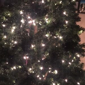 Meet your Posher, Cecilia